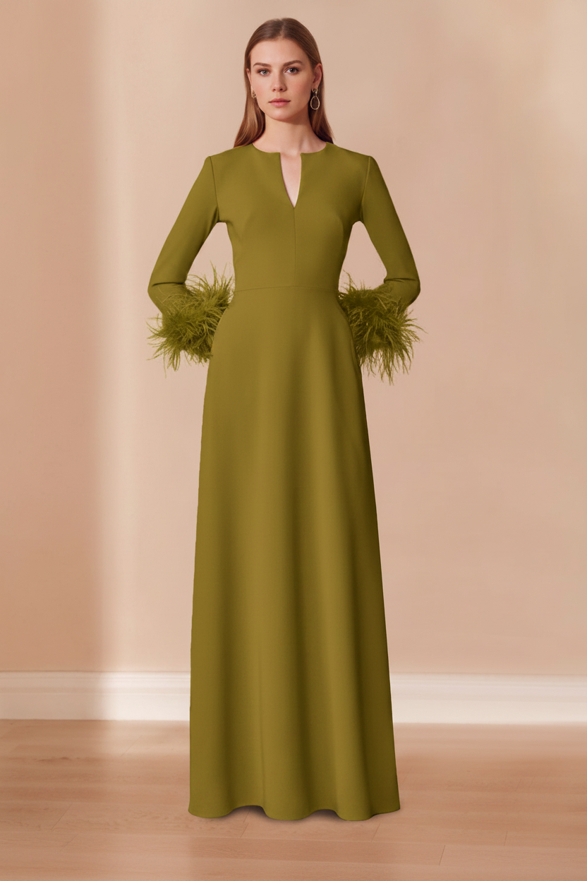 A-Line/Princess V-Neck Long Sleeves Floor-Length Mother of the Bride Dresses with Feathers
