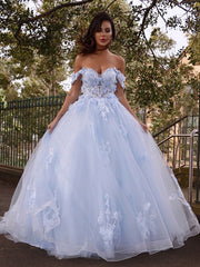 Ball Gown Tulle Applique Off-the-Shoulder Sleeveless Prom Evening Dresses
