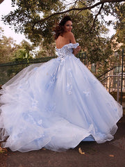 Ball Gown Tulle Applique Off-the-Shoulder Sleeveless Prom Evening Dresses