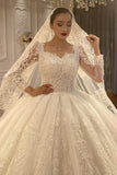 Ball Gown Sweetheart Tulle Long Sleeves Appliques Floor-Length Wedding Dresses with Lace