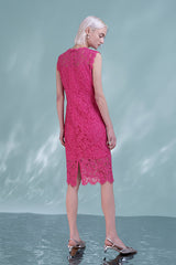 Beautiful Fuchsia Knee Length Lace Sleeveless Dress