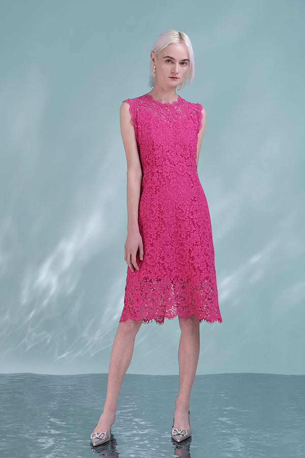 Beautiful Fuchsia Knee Length Lace Sleeveless Dress
