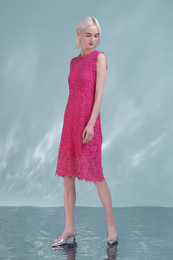 Beautiful Fuchsia Knee Length Lace Sleeveless Dress