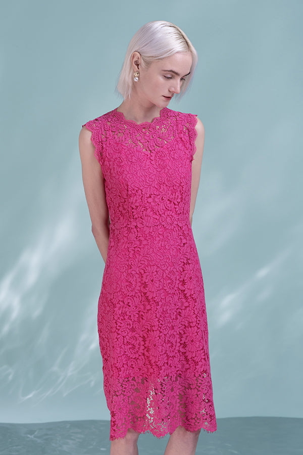 Beautiful Fuchsia Knee Length Lace Sleeveless Dress