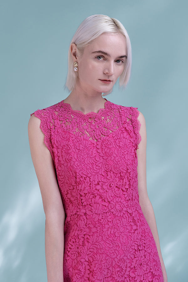 Beautiful Fuchsia Knee Length Lace Sleeveless Dress