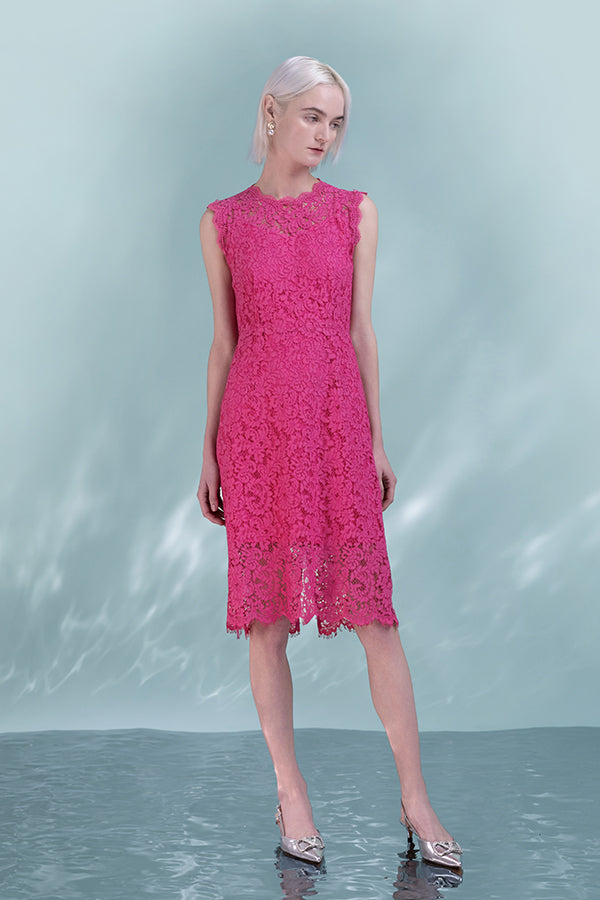 Beautiful Fuchsia Knee Length Lace Sleeveless Dress