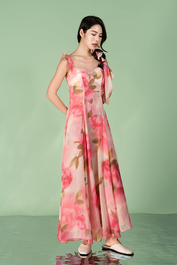 Beautiful Long A-line Sleeveless Printed Dress