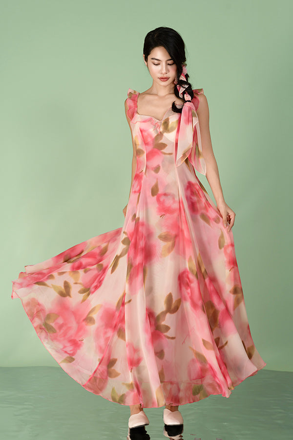 Beautiful Long A-line Sleeveless Printed Dress
