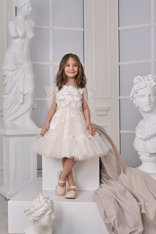 Champagne 3D Floral Lace Flower Girl Dress Scoop Neck Short Tulle Sleeves Sequin Embroidery Puffy Tulle Skirt Flower Girl Dress