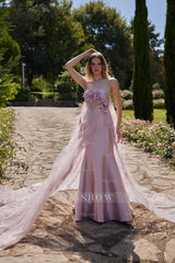 Chic Strapless Sleeveless Tulle Long Formal Dress With Appliques