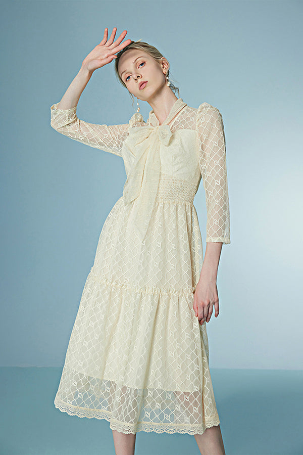 Elegant A-line Tea Length Lace Dress with Long Sleeves