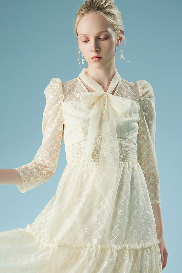 Elegant A-line Tea Length Lace Dress with Long Sleeves