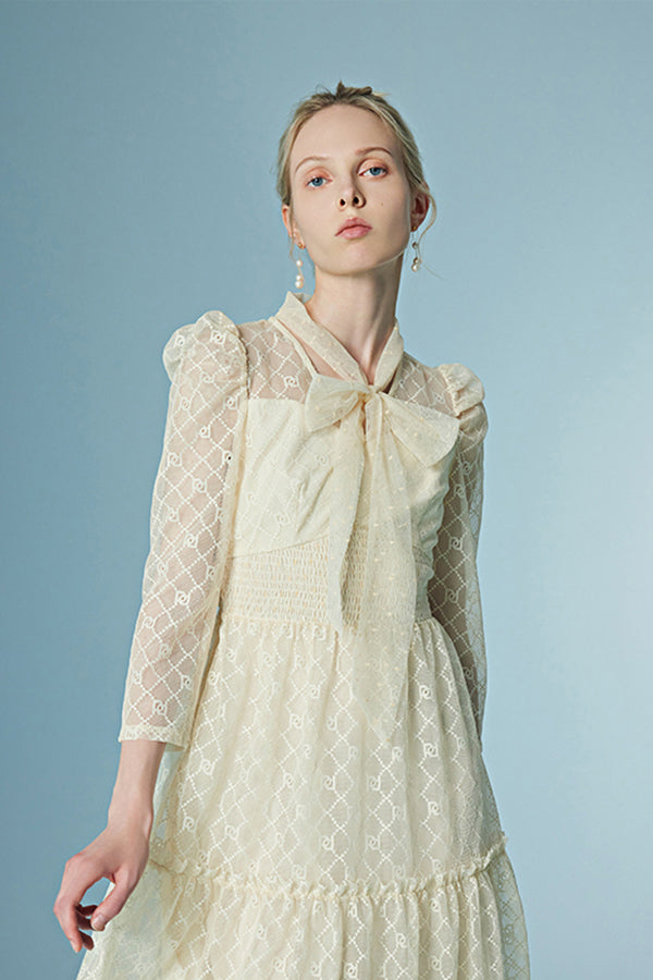 Elegant A-line Tea Length Lace Dress with Long Sleeves