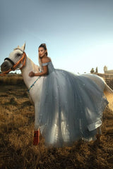 Fabulous Dusty Blue A-Line Off-The-Shoulder Sleeveless Lace Long Tulle Prom Dresses With Sequins