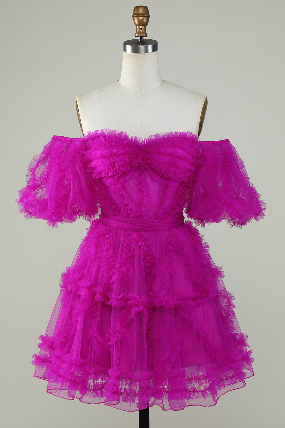 Misshow Fuchsia Corset A-Line Short Homecoming Dress/Mini Dress