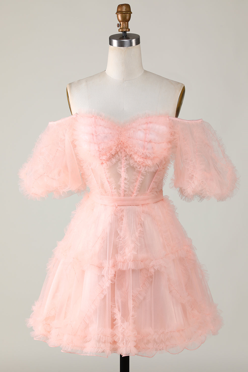Misshow Fuchsia Corset A-Line Short Homecoming Dress/Mini Dress