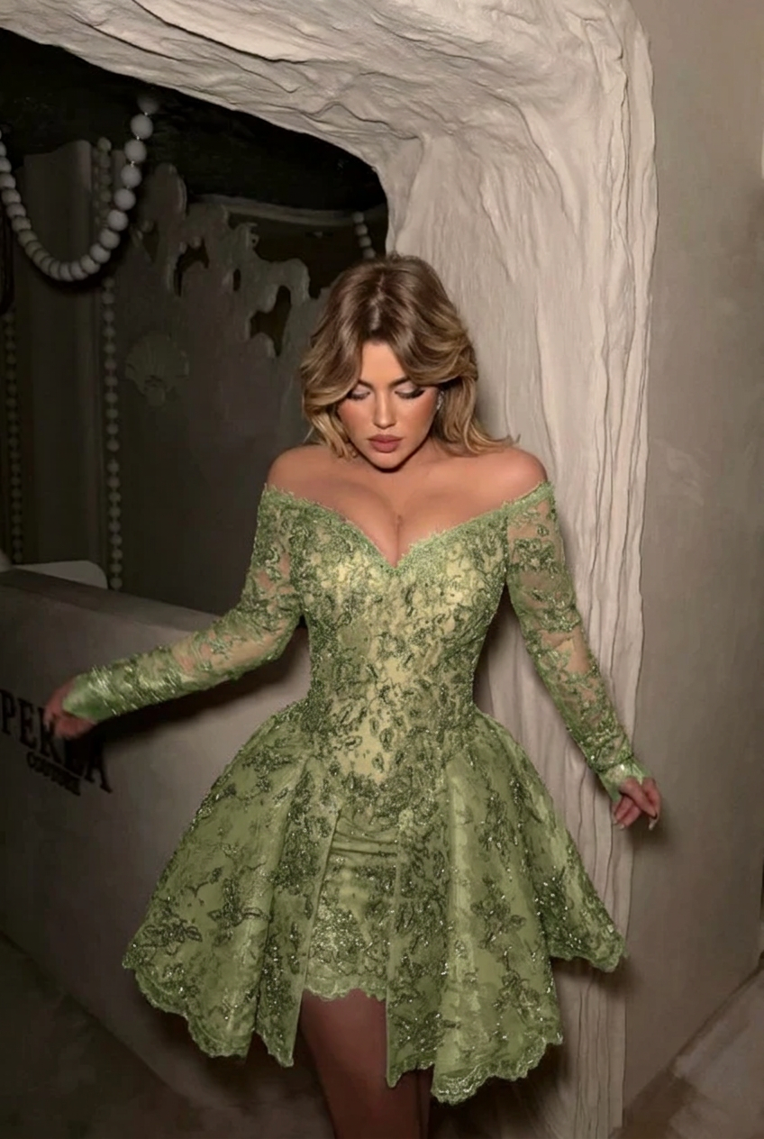Sage off the shoulder long sleeve sequin lace corset fit flare a-line mini party dress