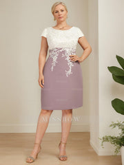 Plus Size Knee-Length Mother of the Bride A-Line Dress with V-Neck and Lace Appliques
