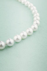 Shell Pearl Necklace