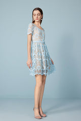Short Blue Lace A-line Dress with Short Sleeves