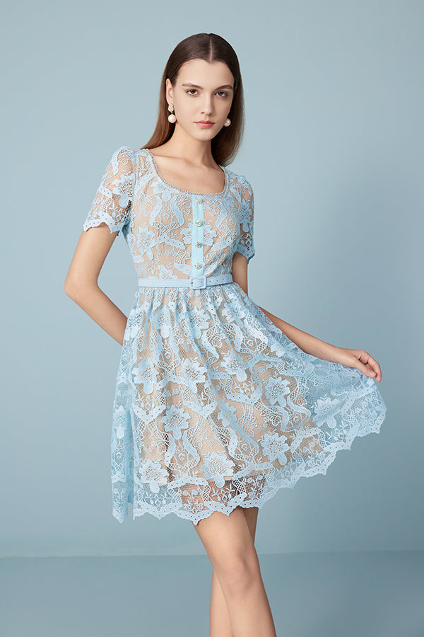 Short Blue Lace A-line Dress with Short Sleeves