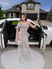 Silver sweetheart rhinestone mermaid prom dress
