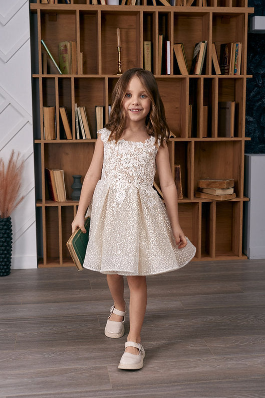Champagne Lace Square Neck Sleeveless Floral Embroidery A-Line Knee Length Puffy Flower Girl Dresses