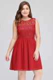 MISSHOW offers gorgeous Red Jewel party dresses with delicately handmade Lace in size 0-26W. Shop Knee-length prom dresses at affordable prices.