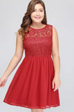 MISSHOW offers gorgeous Red Jewel party dresses with delicately handmade Lace in size 0-26W. Shop Knee-length prom dresses at affordable prices.