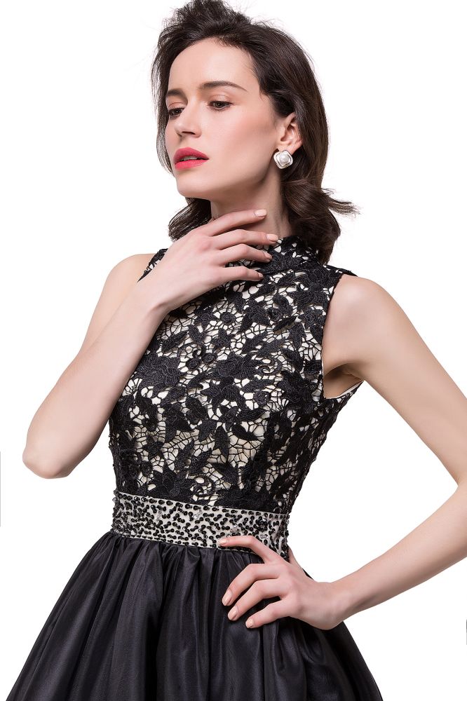 MISSHOW offers gorgeous Same as Picture,Black High Neck party dresses with delicately handmade Lace,Appliques in size 0-26W. Shop Mini prom dresses at affordable prices.
