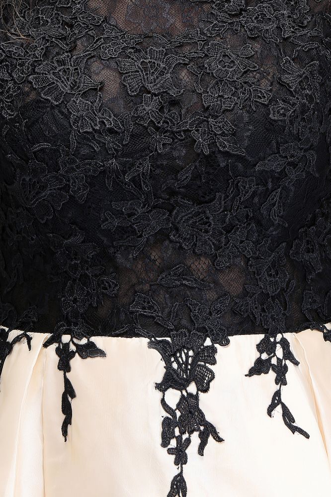MISSHOW offers gorgeous Black Jewel party dresses with delicately handmade Lace in size 0-26W. Shop Mini prom dresses at affordable prices.