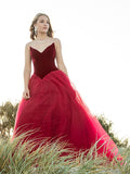 Ball Gown Sweetheart Tulle Sleeveless Court Train Prom Dresses