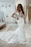 Beautiful Long Mermaid Long Sleeves Lace V-neck Wedding Dress-misshow.com