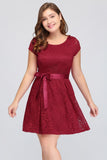Burgundy Plus size A-Line Scoop Short Short Sleeves Lace Cocktail Dresses with Bow