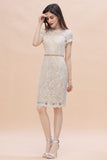 Chic Jewel Tulle Lace Beadings Mother of Bride Dress with Short Sleeves Online-misshow.com