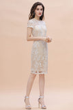 Chic Jewel Tulle Lace Beadings Mother of Bride Dress with Short Sleeves Online-misshow.com