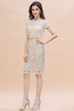 Chic Jewel Tulle Lace Beadings Mother of Bride Dress with Short Sleeves Online-misshow.com