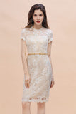 Chic Jewel Tulle Lace Beadings Mother of Bride Dress with Short Sleeves Online-misshow.com