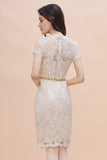 Chic Jewel Tulle Lace Beadings Mother of Bride Dress with Short Sleeves Online-misshow.com