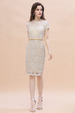 Chic Jewel Tulle Lace Beadings Mother of Bride Dress with Short Sleeves Online