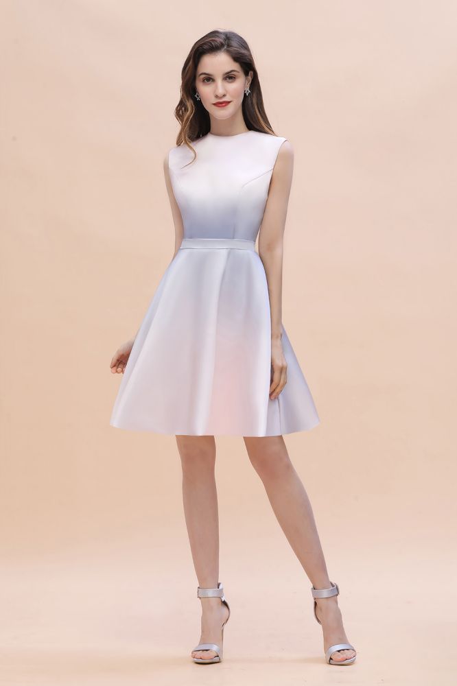 The gorgeous Crew Neck Sleeveless Gradient Aline Short Party Dress Daily Casual Dress will stun every girl. The Satin,Tulle Vintage Party dress will add extra elegance to your wholesale look.
