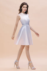 The gorgeous Crew Neck Sleeveless Gradient Aline Short Party Dress Daily Casual Dress will stun every girl. The Satin,Tulle Vintage Party dress will add extra elegance to your wholesale look.