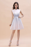 The gorgeous Crew Neck Sleeveless Gradient Aline Short Party Dress Daily Casual Dress will stun every girl. The Satin,Tulle Vintage Party dress will add extra elegance to your wholesale look.