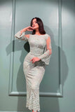 Elegant Lace Mermaid Evening Dresses With Long Sleeves
