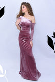 Elegant One-shoulder Long Sleeve Aline Prom Dress-misshow.com