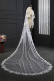 Elegant Tulle lace Applique Edge 3*1.5M Wedding Gloves