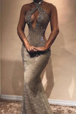 Gorgeous Long Mermaid Sexy Lace Sequined Sleeveless Prom Dress