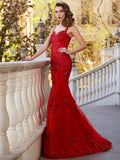 Gorgeous Mermaid Sheer Neck Sleeveless Applique Tulle Prom Dresses
