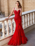 Gorgeous Mermaid Sheer Neck Sleeveless Applique Tulle Prom Dresses