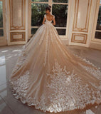 Luxury Long Glitter Wedding Dresses Princess with Lace-misshow.com